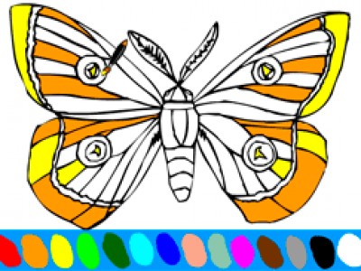 раскраска бабочка 2