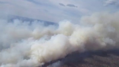 Лесные пожары Надымский район ЯНАО