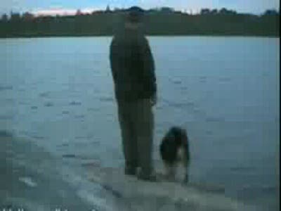 рыбак и собака
