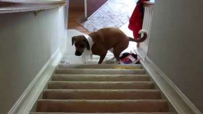 Восхождение по лестнице