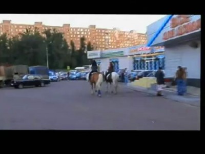 Прогулка лошадей в Бирюлёво Западном районе