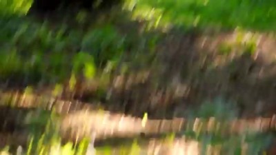 Парк Победы, Ульяновск