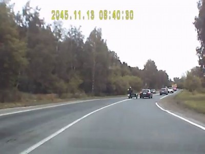 ДТП 15.07.2013 Два оленя