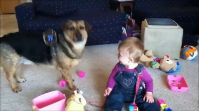 Babies Laughing at Dogs Supercut