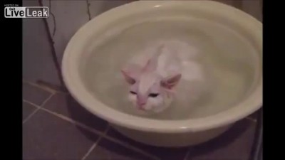 Любительница тёплых ванн