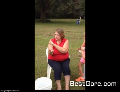 ice busket and pitbull