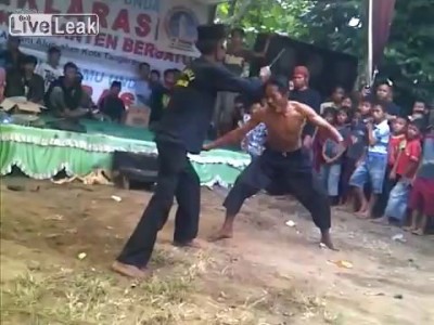 Индонезийское боевое искусство