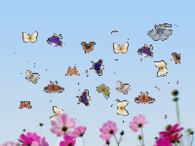 бабочки000020