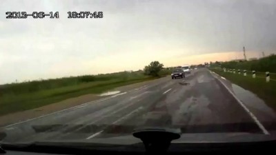 Убийство Утки и выводка на дороге Симферополь - Евпатория