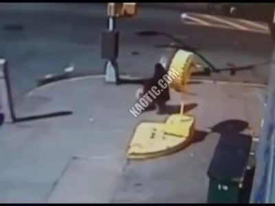 Питбуль напал на ребенка