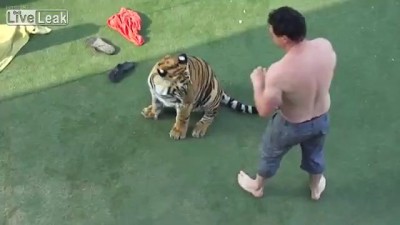 Бой мужика и тигра