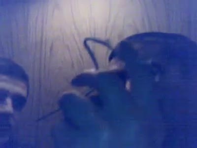 бухло и фейерверки