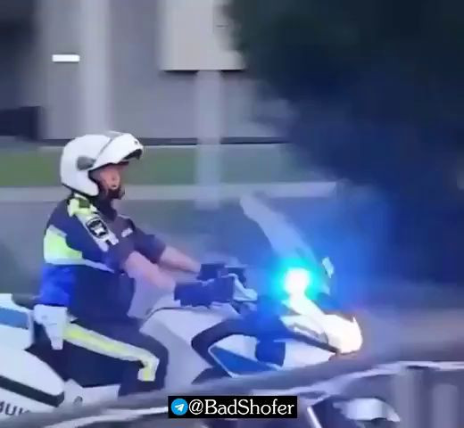 Попалась черепашка