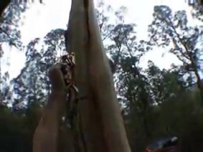 Как быстро залезть на дерево