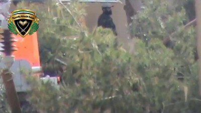 Сходил пописать