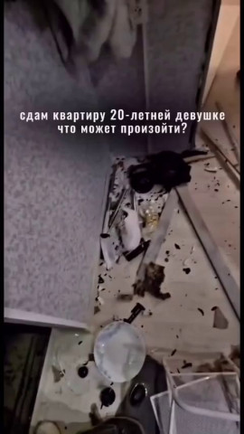 Сдам квартиру в Екатеринбурге 20-летней девушке, что может случиться?
