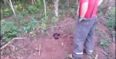 Dog Buried Alive Rescued by Firefighters