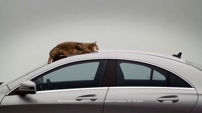 Кот и машина
