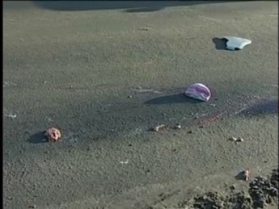 Смерть пешехода