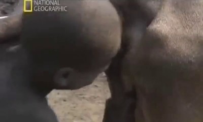 Надо уважать культуру других народов