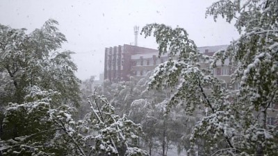 Майский снег