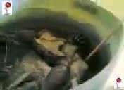 Что пьют в баре "Аллах акбар"