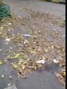 Гольяново забросили.