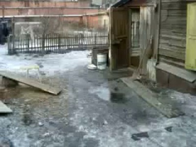 Съели подругу