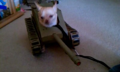 Tank Dog Weapons Test