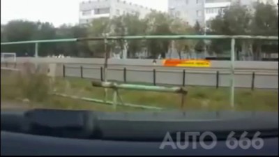 Ещё курицы