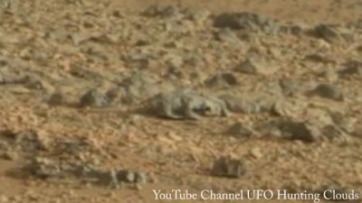На снимок NASA с Марса попала "инопланетная ящерица"