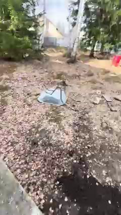 сдвг