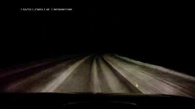 Коровы, кабаны йопт