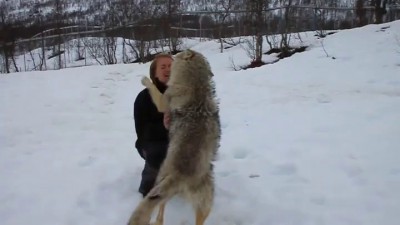 Женщина  с волками