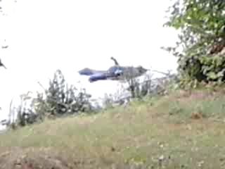 находка по пути домой