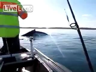 Отец и дочь: наблюдение за китами с каноэ