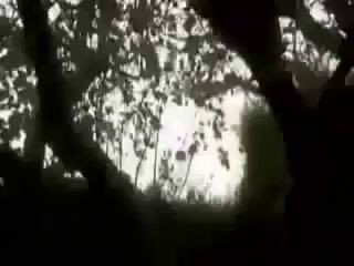 Faery Caught on tape in Mexico