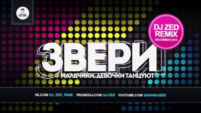 Звери - Девочки, Мальчики Танцуют (DJ Zed Remix)