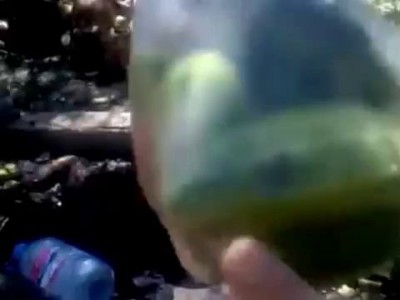 Donetsk Dead People!