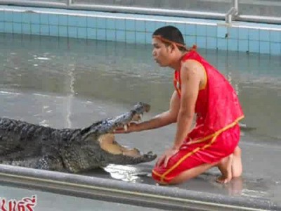 Игры с крокодилами