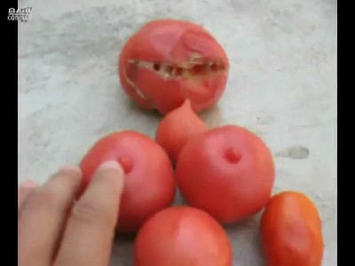 SEX I love Pomidori Gritsa1