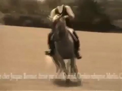 Лошадь с невероятной координацией