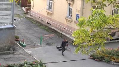 Выглянул я давеча в окно...
