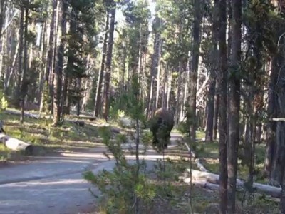 Встреча в парке