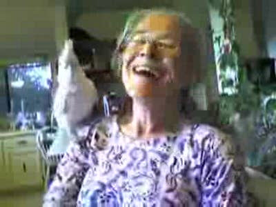 Сумасшедшая бабуля и её попугай
