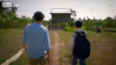 Камбоджийское лакомство - ТАРАНТУЛЫ 
