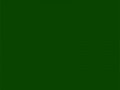 Насыщенный оливково-зеленый	#0A4500	10	69	0