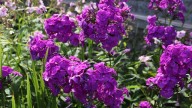 IMG_0035 копия