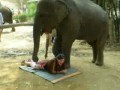Слоновий массаж