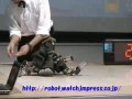 Robo One - Fight 2